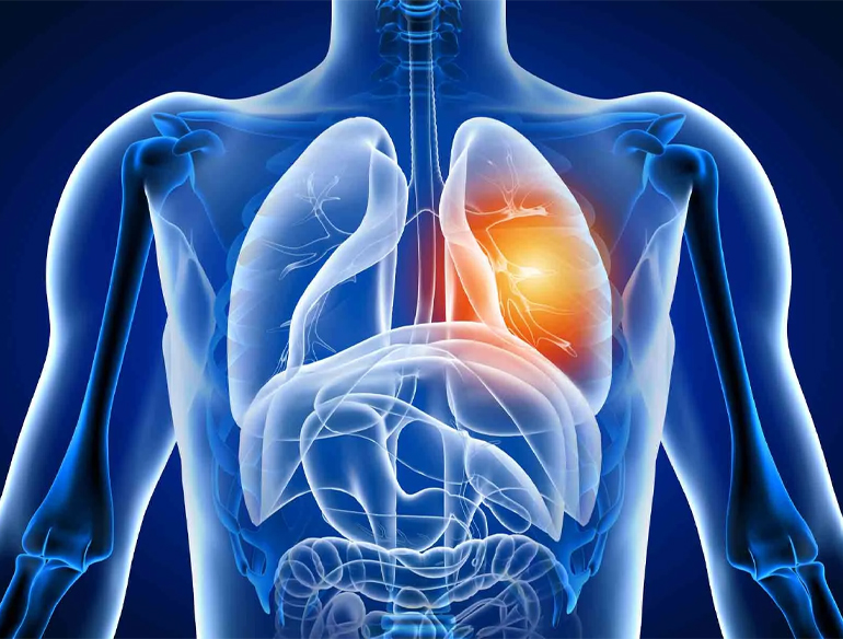 Barber Salon  Bootstrap 4 Template